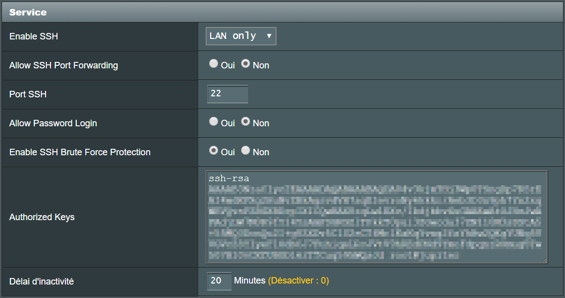 Ad blocking on ASUS routers /media/screenshots/screenshot-asus-rtac88u-configuration-ssh-access.png